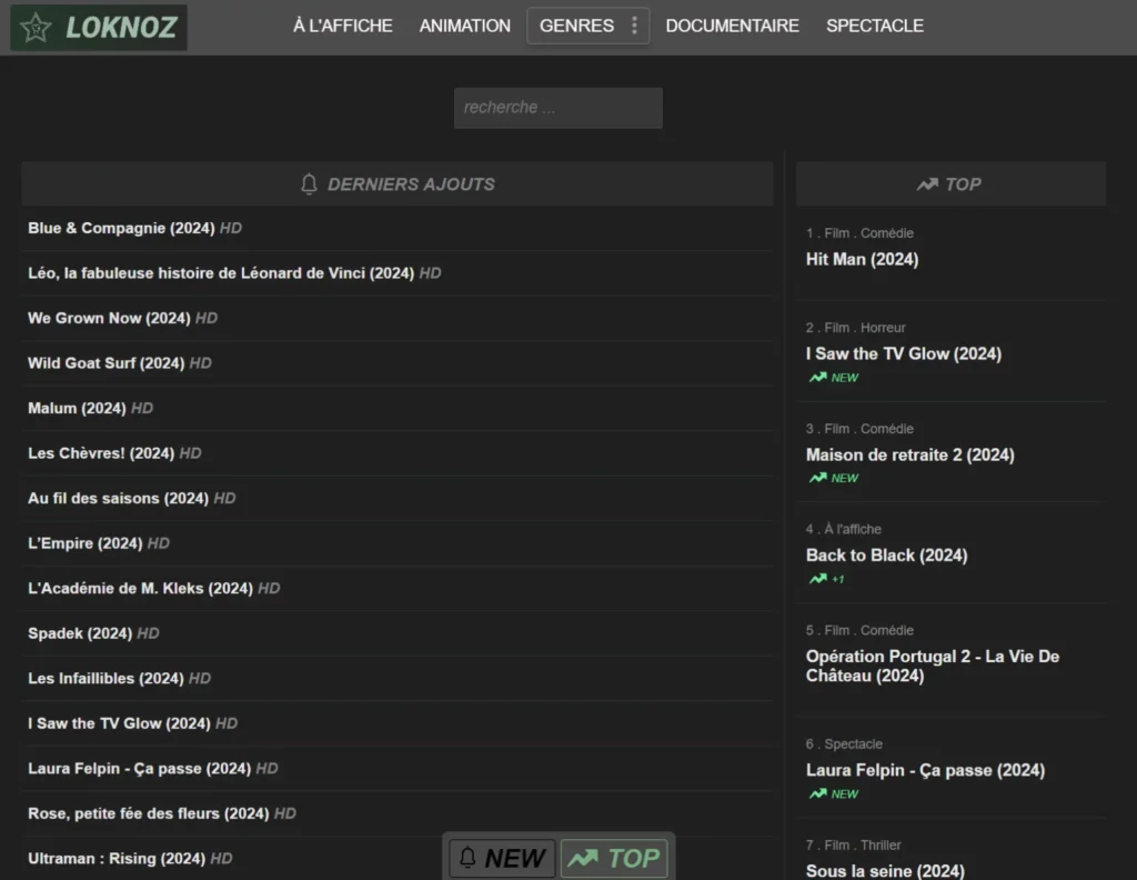 Comment accéder à Loknoz en 2024 ? 2 image 91 1536x1188 1